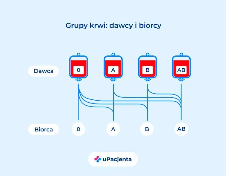 Grupa krwi spektakl: odkryj sekrety dramatycznej fabuły i wyjątkowych wystawień